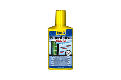 FilterActive