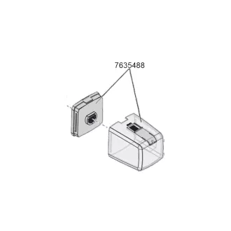 7635488.jpg